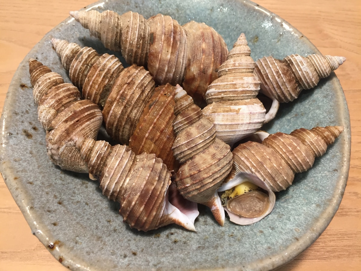 お酒のアテに つぶ貝の塩茹で レシピ 作り方 By ひろぱんだ 楽天レシピ お酒のアテに つぶ貝の塩茹で レシピ 作り方 By ひろぱんだ 楽天レシピ